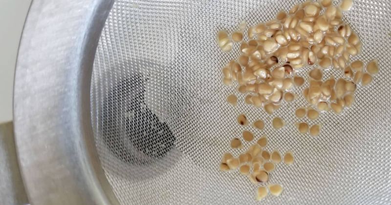 Rinse the seeds, then dry them thoroughly