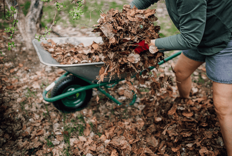 Remove or redistribute what the mower cannot manage