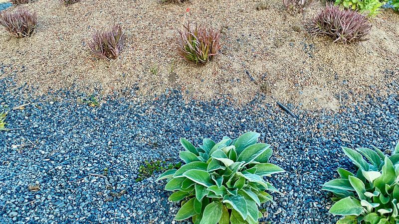 Keep combustible needles out of the home zone