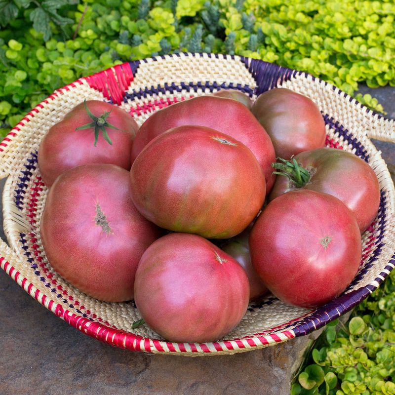 Choose Heat-Tolerant Varieties