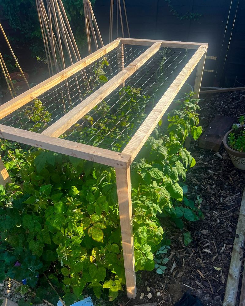 Build a simple frame above the foliage