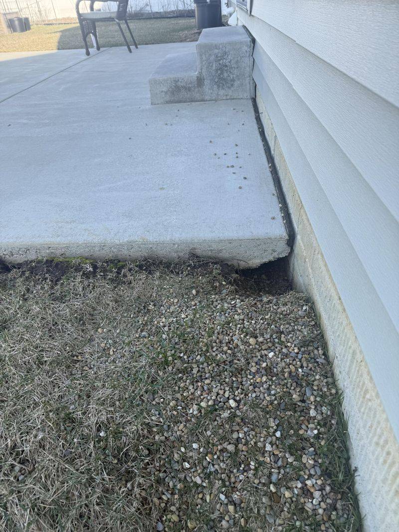 What Is the Burrow Actually Doing to Your Structure?