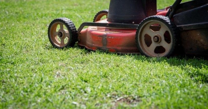 Cutting Your Grass Too Short