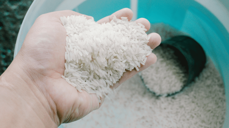 White rice