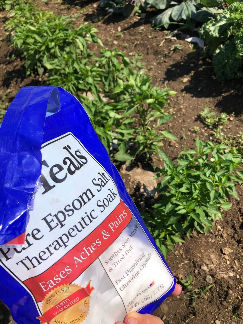 Epsom Salt (Magnesium Sulfate)