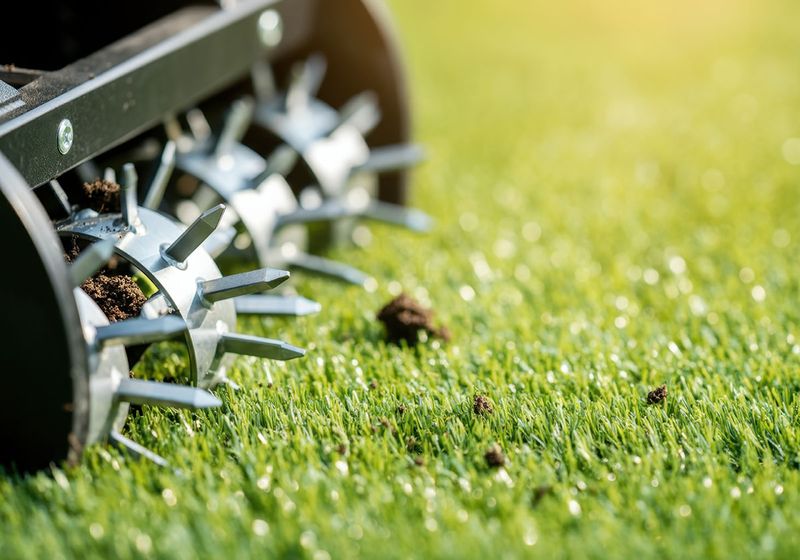 Consider Aeration (with Proper Timing)