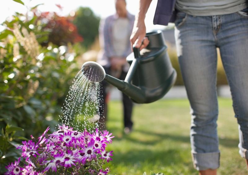 Time Your Watering Right