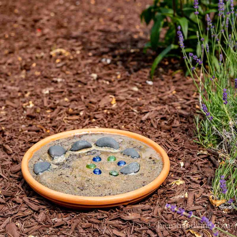 Set Up a Shallow Puddling Area