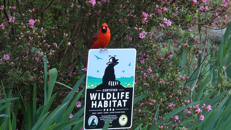 Certified Wildlife Habitat Signage