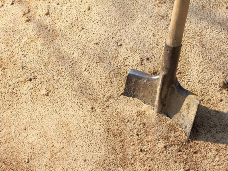 Sandy Soil Drinks and Runs