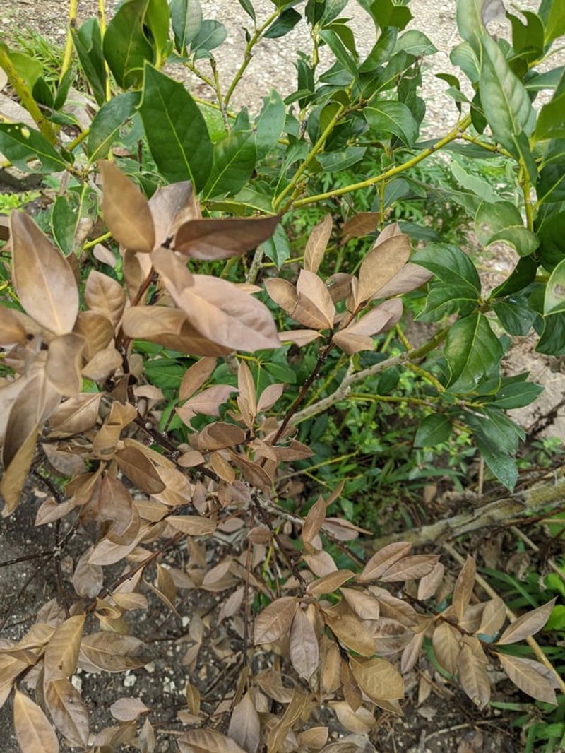 What You Can Safely Remove After the Cutoff