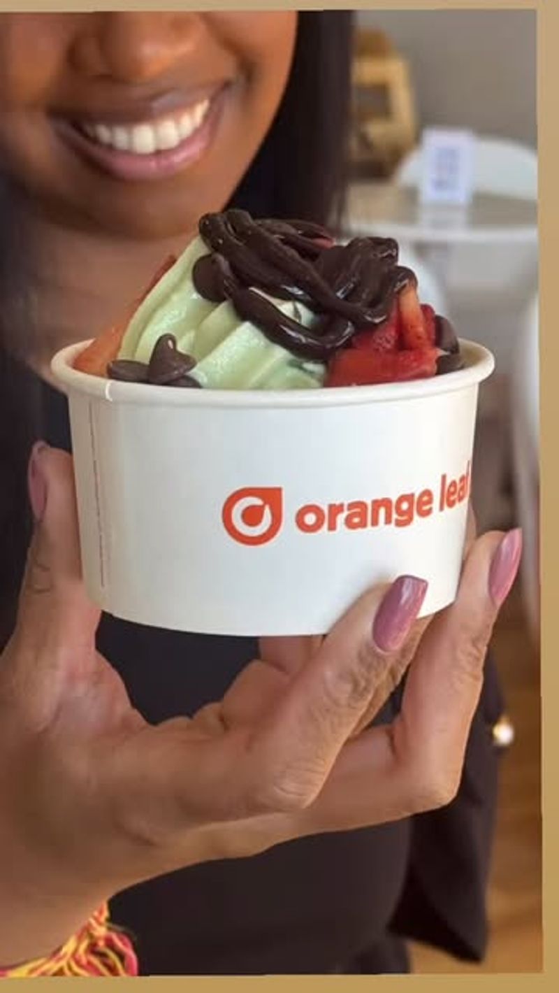 Orange Leaf Frozen Yogurt