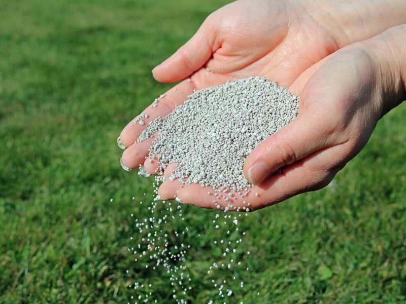 Let a soil test guide the first fertilizer decision