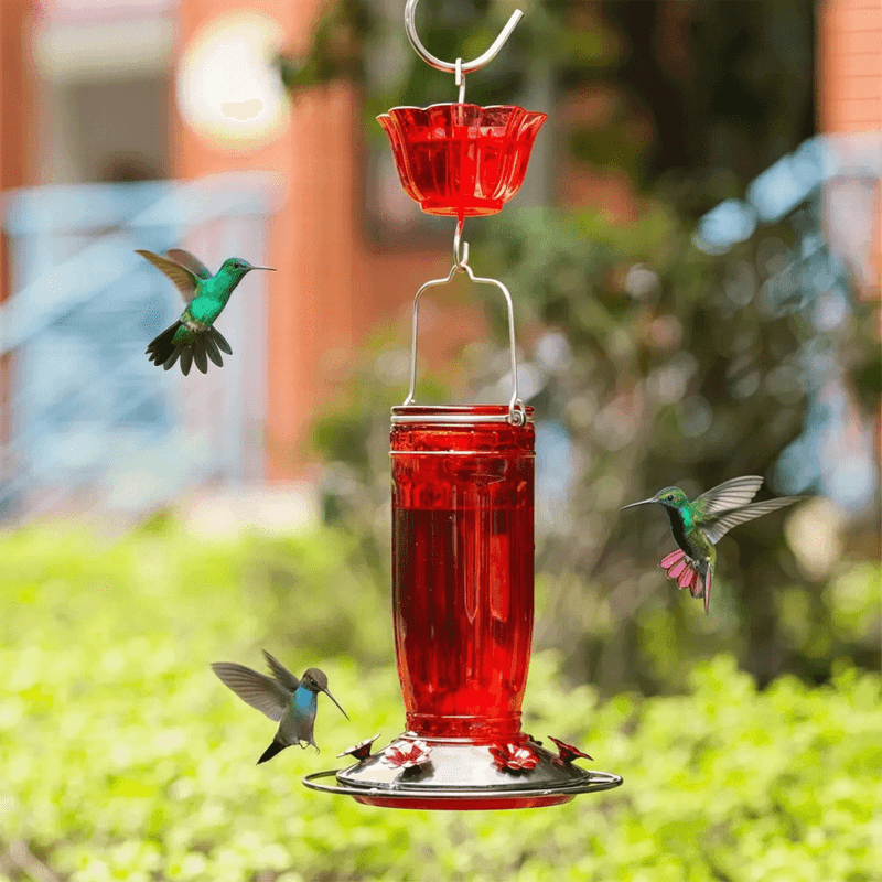 Feeders Placed Too Hidden or Too Exposed