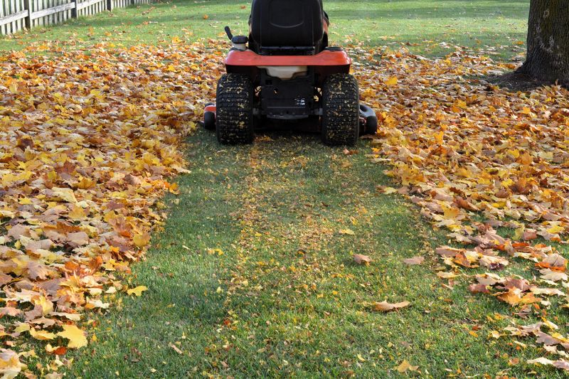 Manage turf and high-use areas without stripping habitat