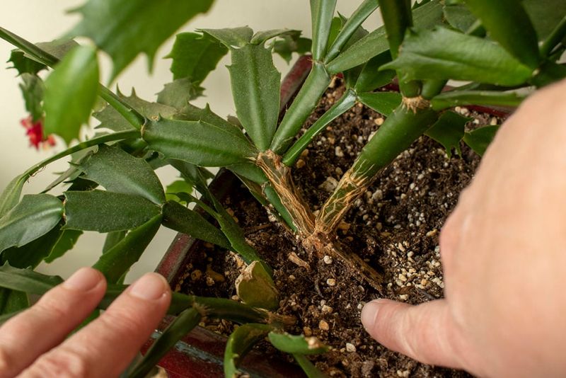 When should root trouble move higher on your list?