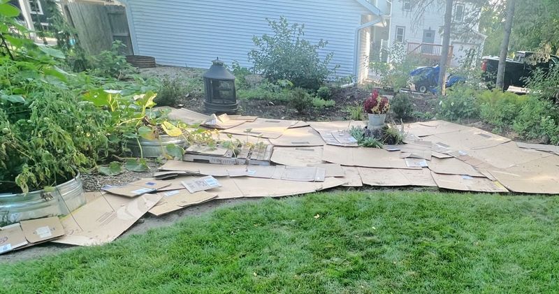 Install cardboard for variable, not guaranteed, suppression