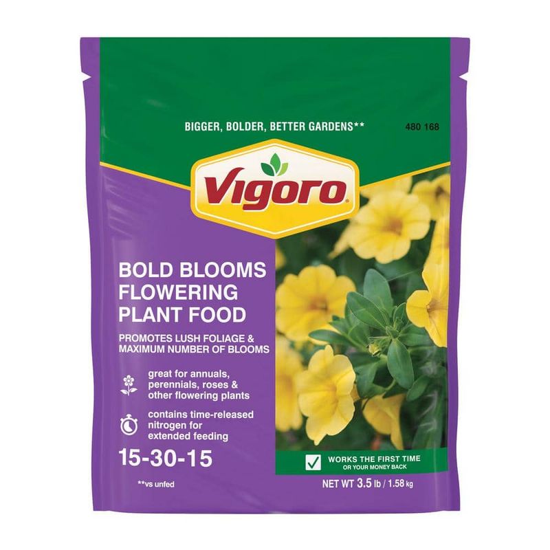 Use a Bloom-Promoting Fertilizer