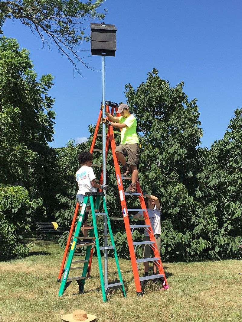 Install Before Spring, but Do Not Expect Instant Occupancy