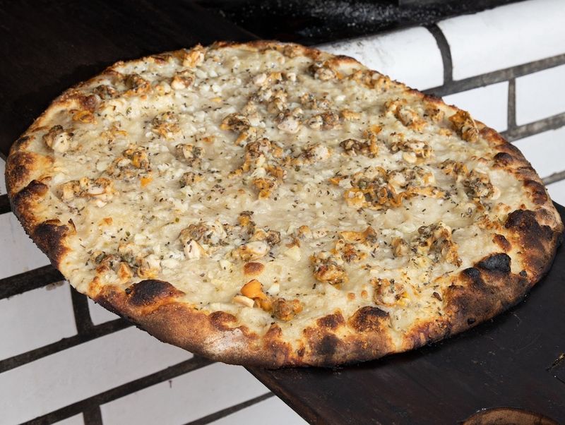 New Haven apizza