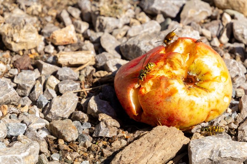Food can keep workers returning to the porch