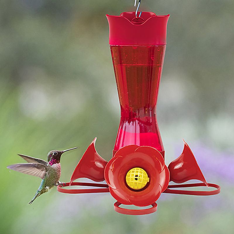 Yellow Accents on Feeders