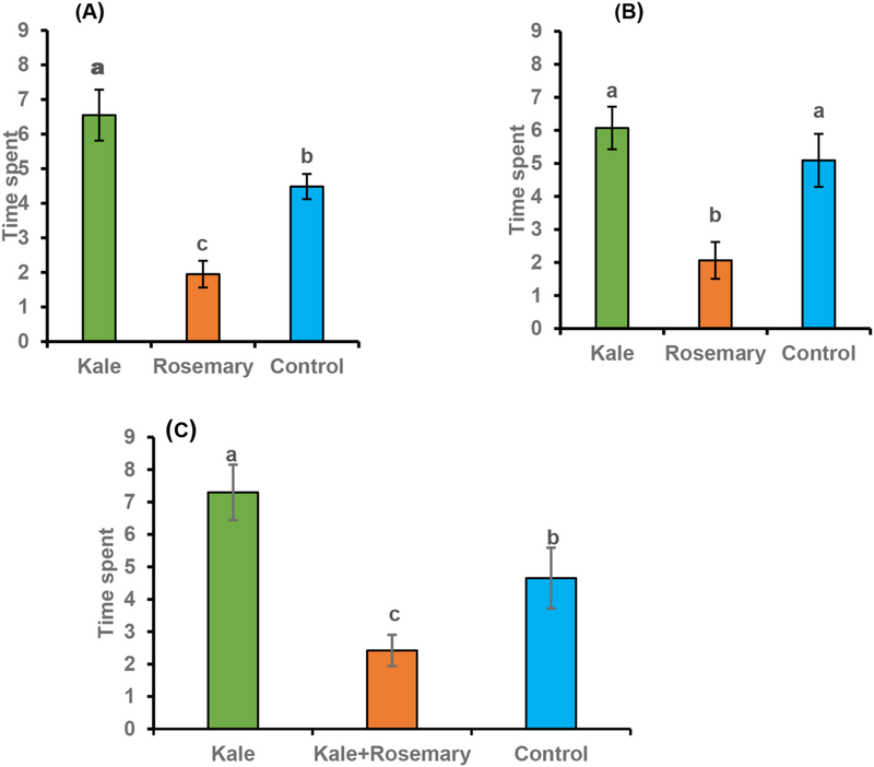 One moth responded to rosemary volatiles in lab tests