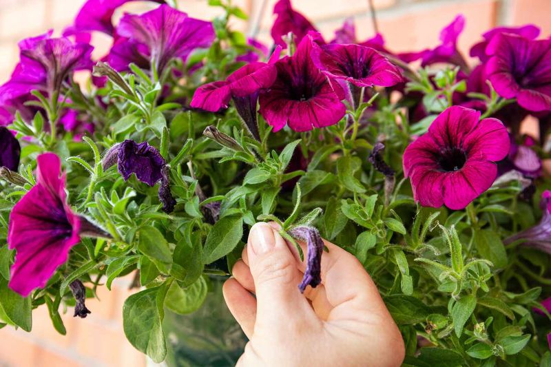 Maintain Overall Consistent Care