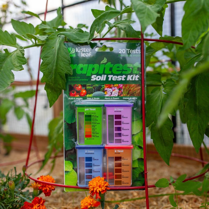 Stop adding fertilizer and test the soil