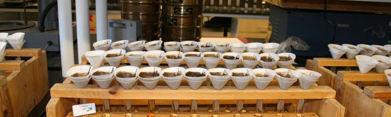 Test Your Soil pH