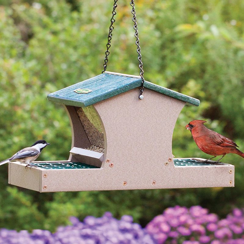 Provide Stable, Cardinal-Friendly Feeders