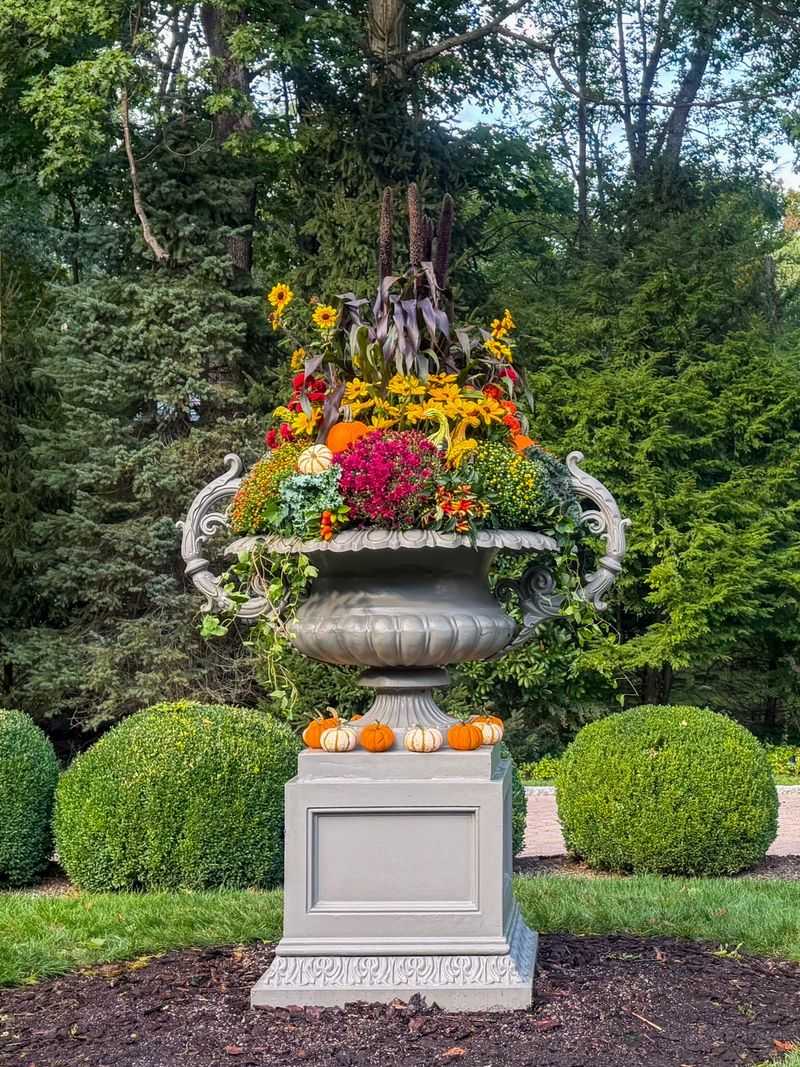 Grills, Planters, and Nearby Patio Gear