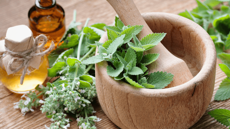 Crushing Basil or Mint Releases Aromatic Volatiles