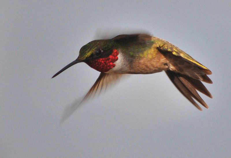What Does Hovering Actually Tell You?
