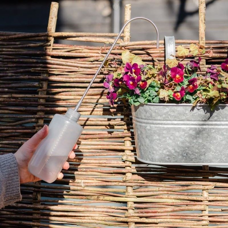 The practical routine: check, water, and reassess