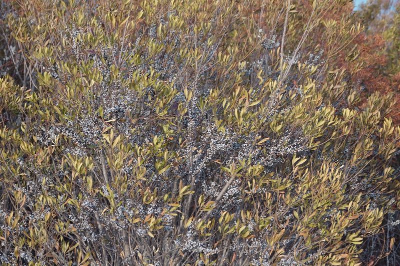 Year-round shelter does not mean year-round bird food