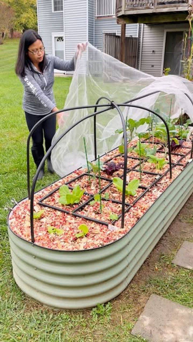 Cover Plants with Netting or Row Covers