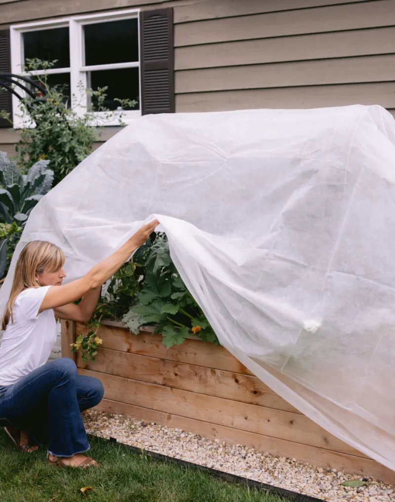Forgetting Frost Protection