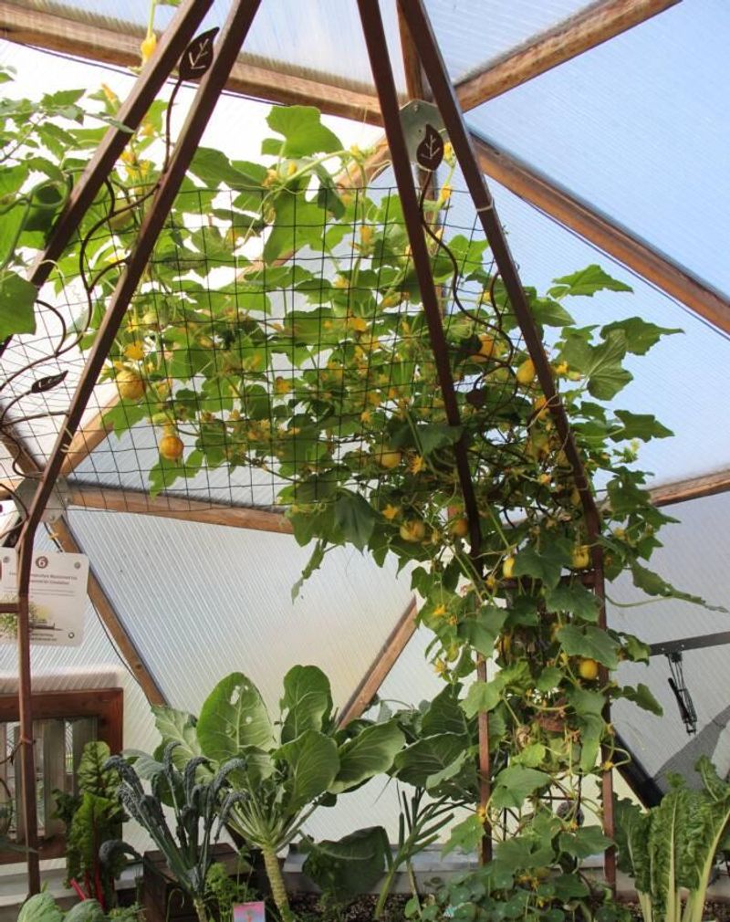 Use your observations to plan next spring
