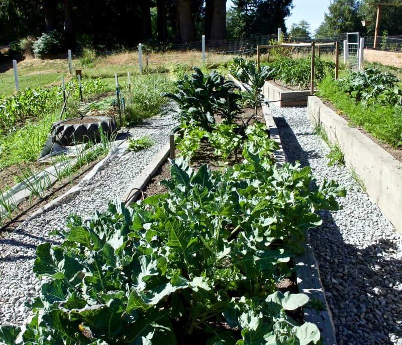 Site the next bed for sun and fewer competing roots