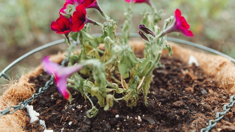Know when pruning will not solve the problem