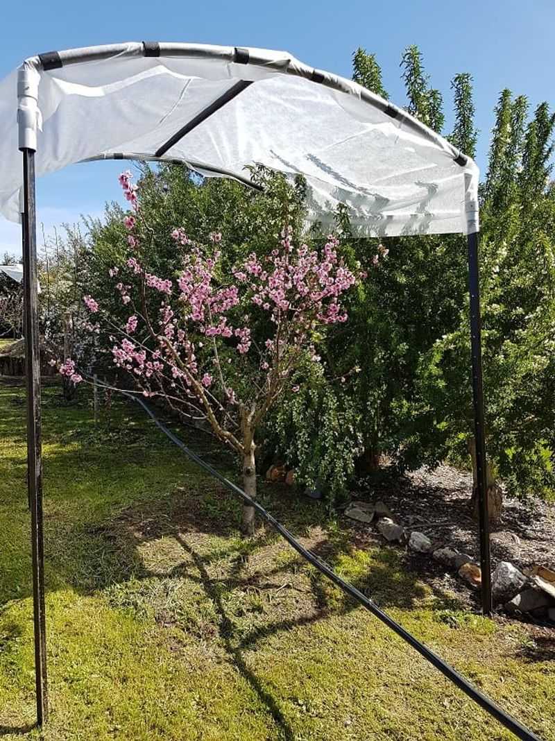 What a frost cover can—and cannot—do