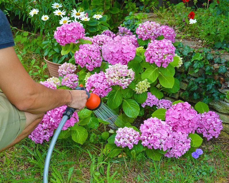 Prevent Erratic Watering