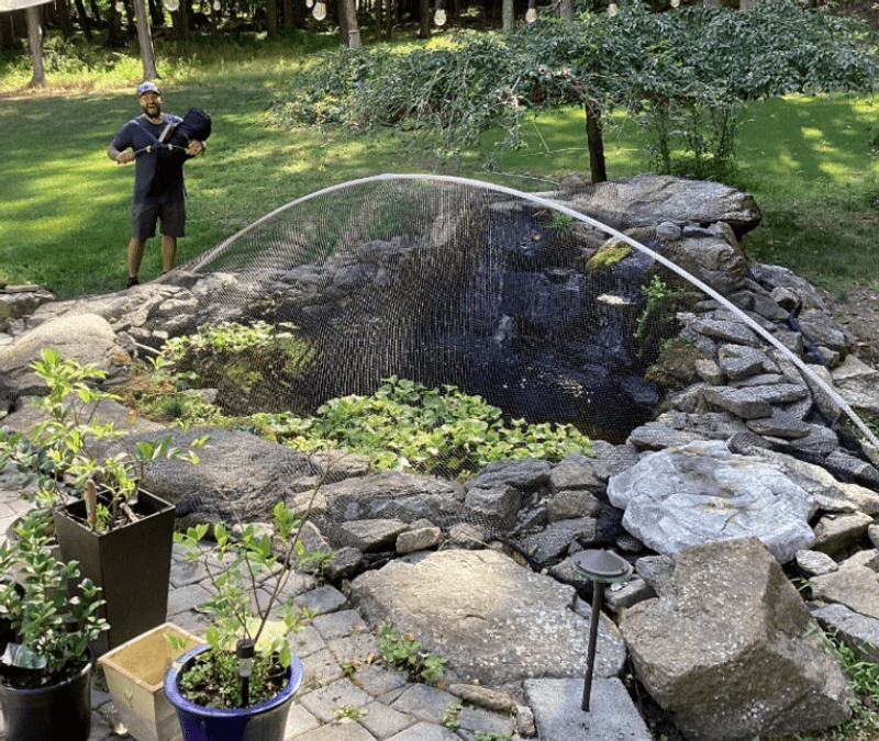 Make a pond-specific plan before sustained cover arrives