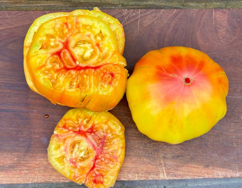 Striped German (Heirloom)