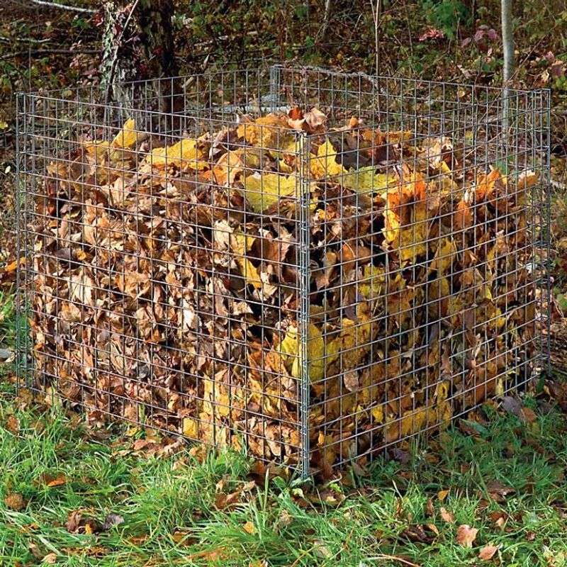 Slow and Lazy Leaf Mold