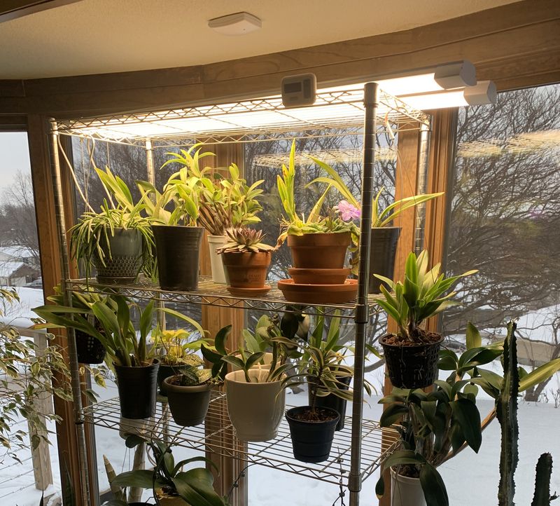 When the window is not enough, supplemental light is reasonable