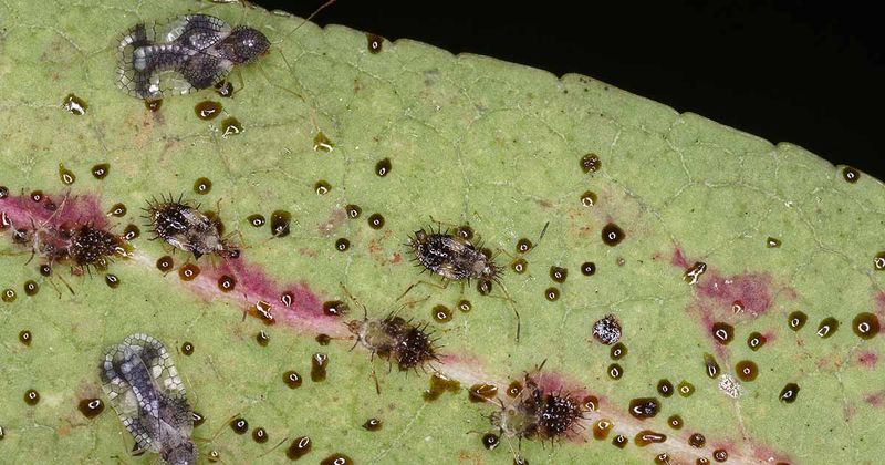 A weekly underside check catches problems early
