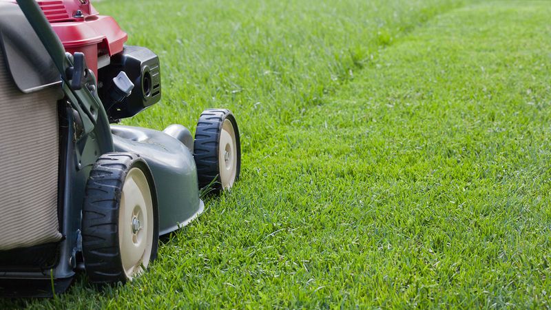 Mow Smart Before and After
