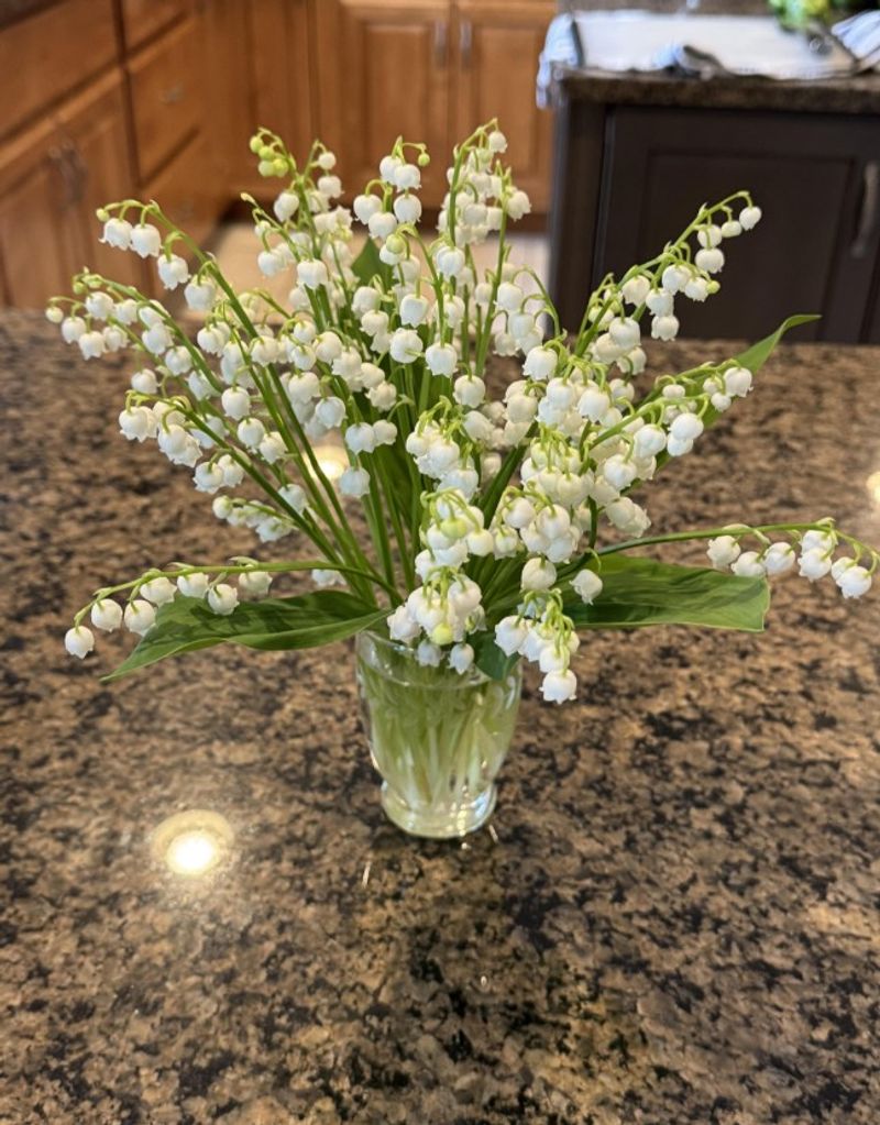 Vase water may pose an ingestion risk, too